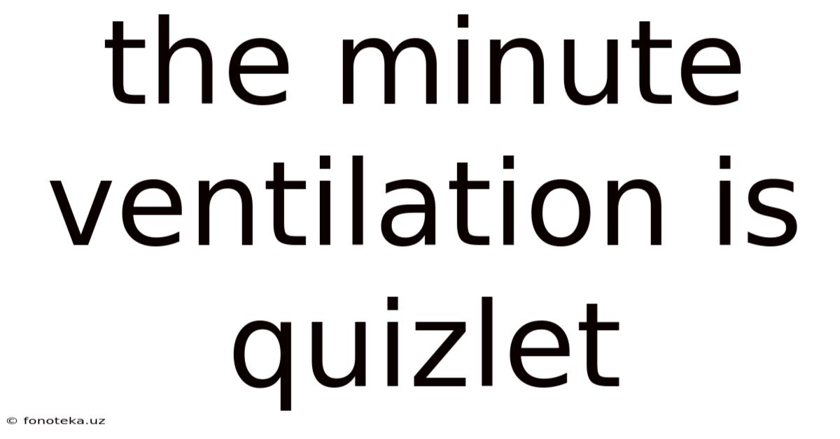 The Minute Ventilation Is Quizlet
