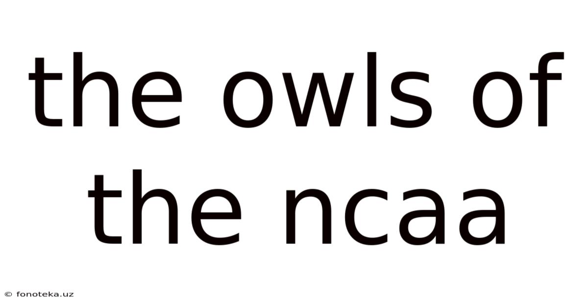 The Owls Of The Ncaa