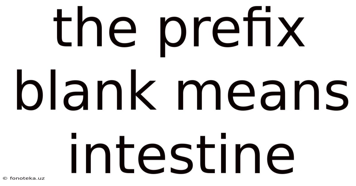 The Prefix Blank Means Intestine