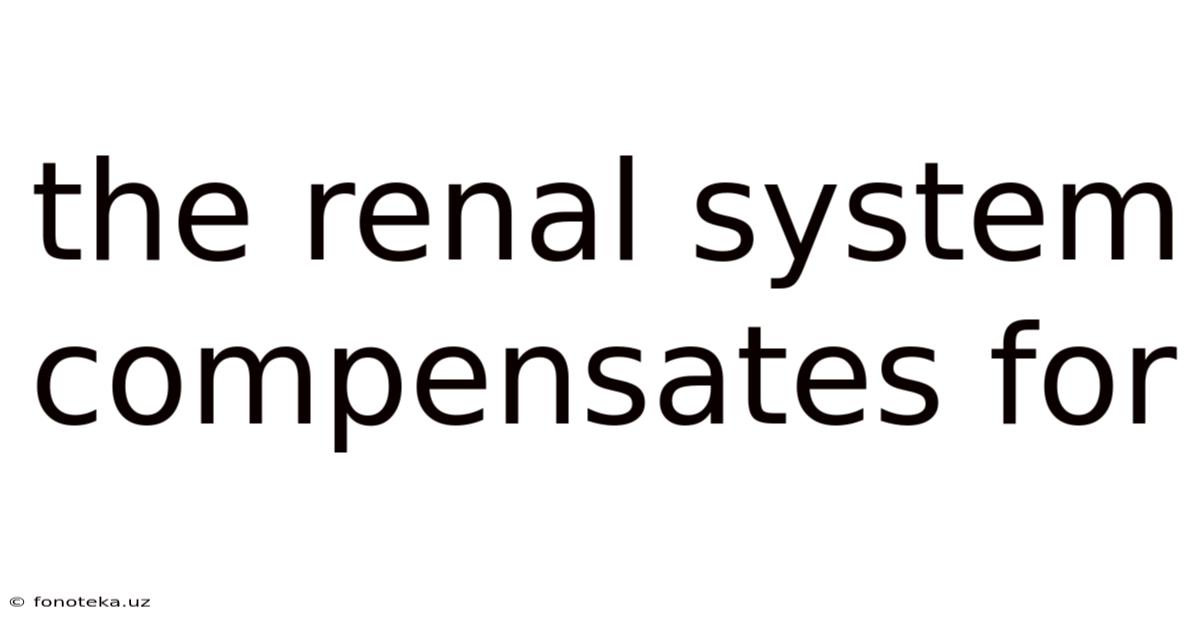 The Renal System Compensates For
