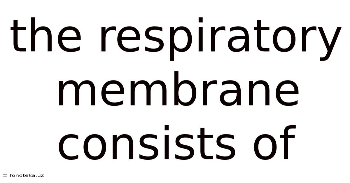 The Respiratory Membrane Consists Of