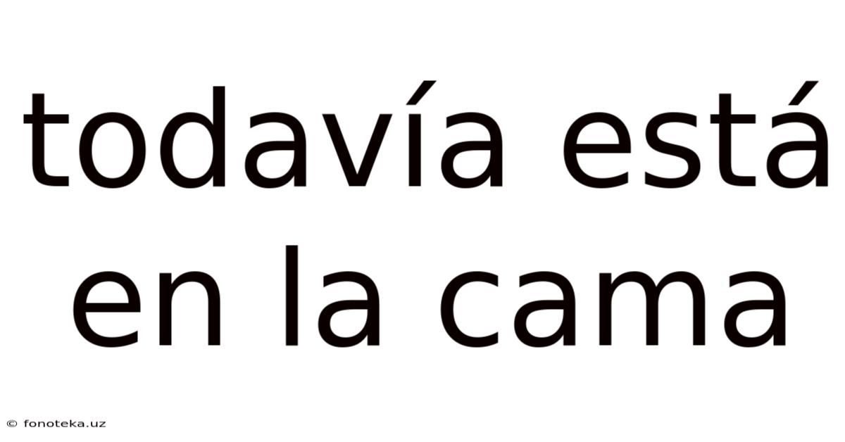 Todavía Está En La Cama