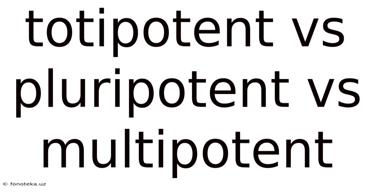 Totipotent Vs Pluripotent Vs Multipotent