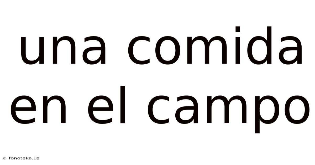 Una Comida En El Campo