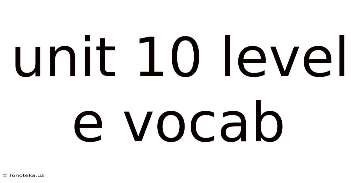 Unit 10 Level E Vocab
