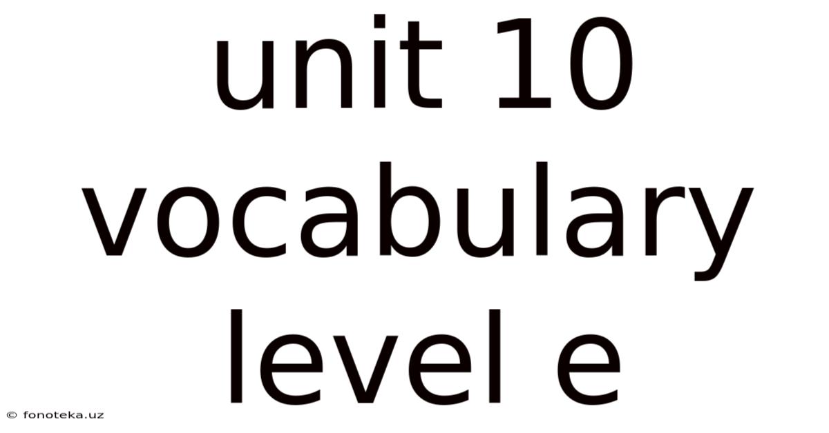 Unit 10 Vocabulary Level E