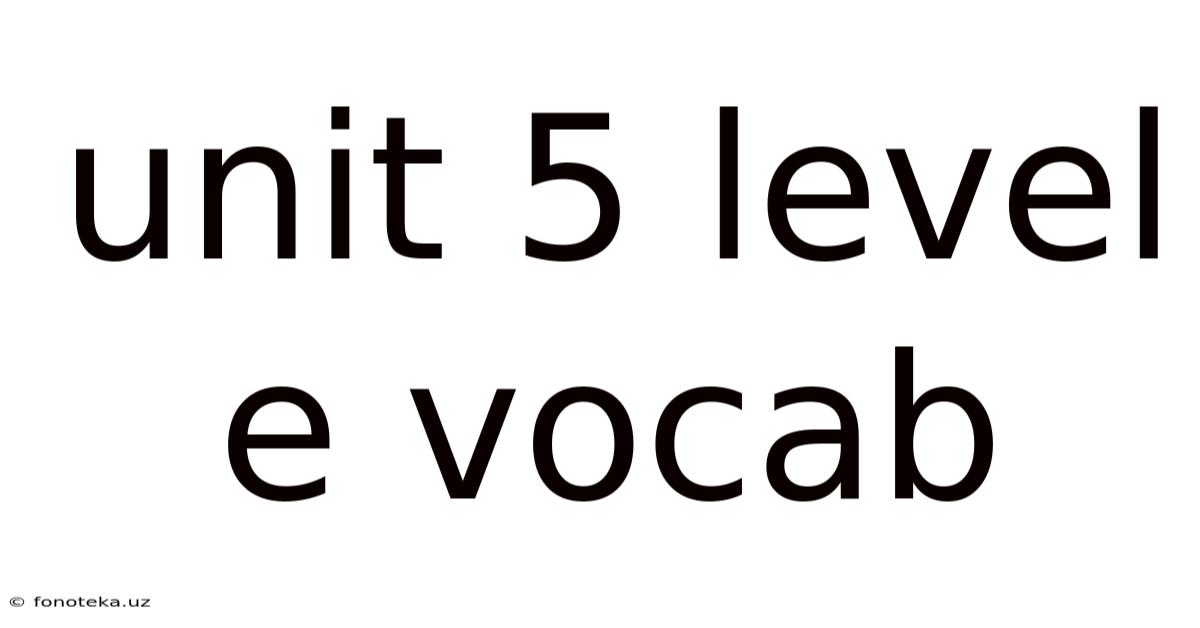 Unit 5 Level E Vocab
