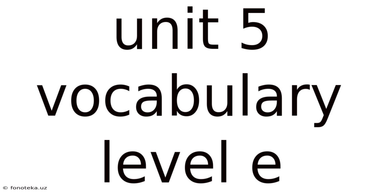 Unit 5 Vocabulary Level E