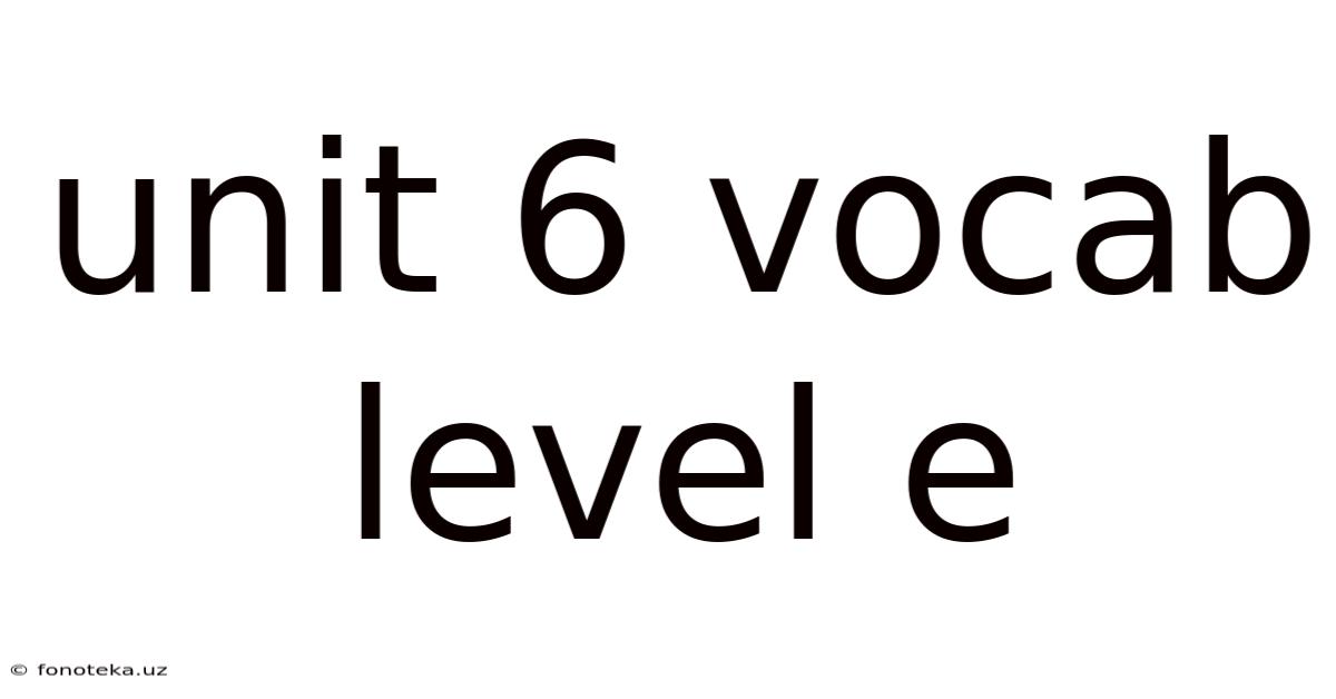 Unit 6 Vocab Level E