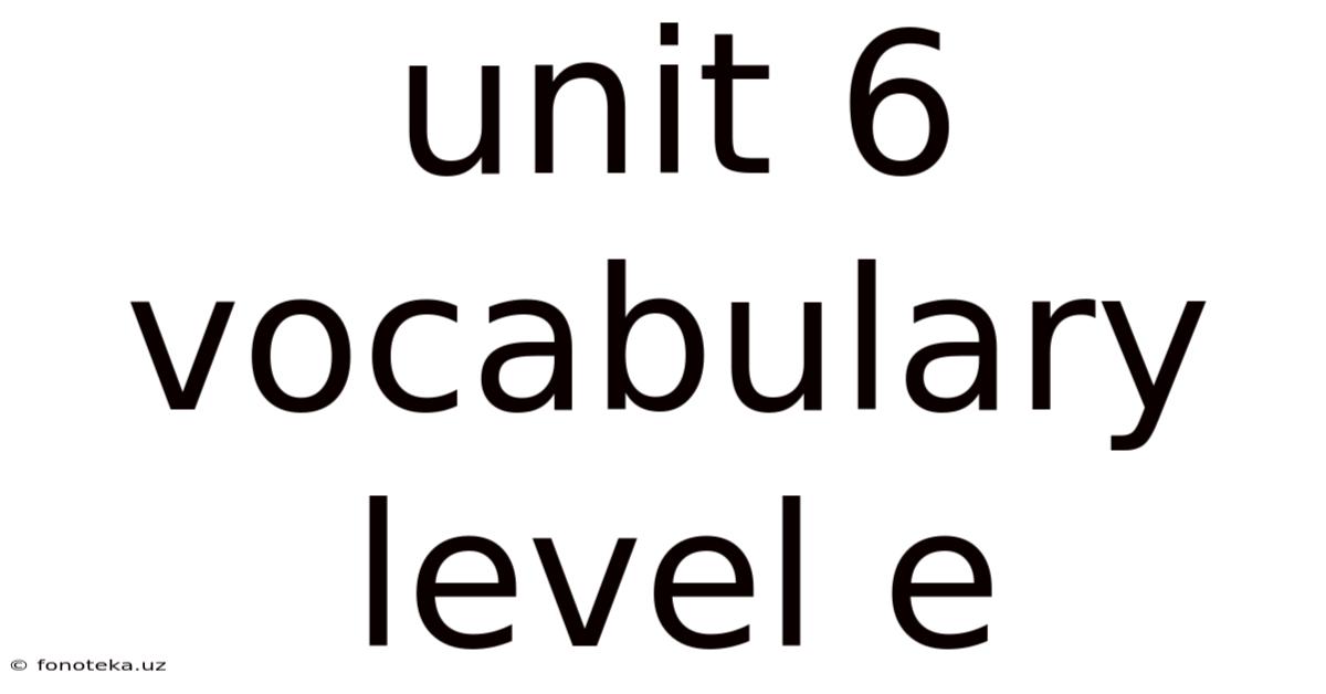 Unit 6 Vocabulary Level E