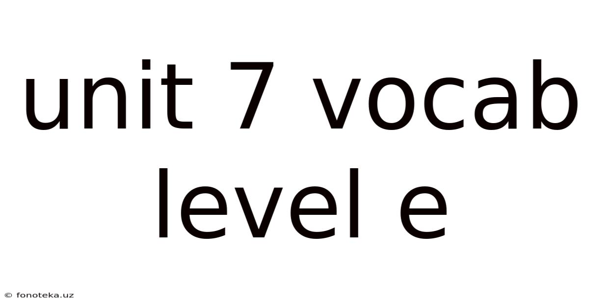 Unit 7 Vocab Level E