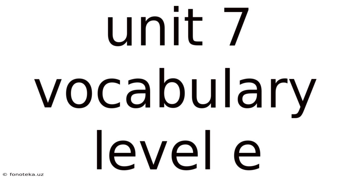 Unit 7 Vocabulary Level E