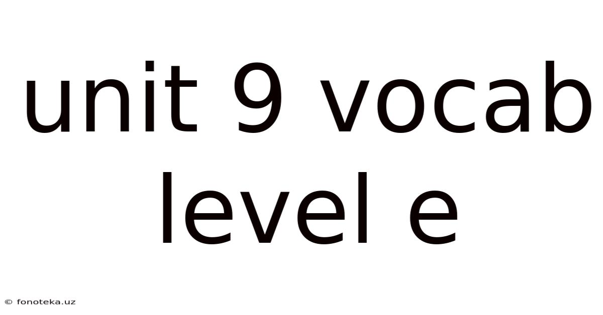 Unit 9 Vocab Level E