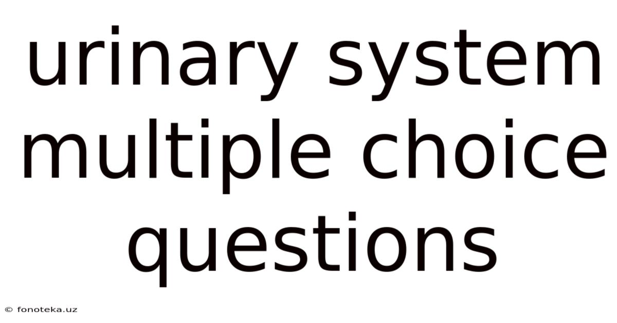 Urinary System Multiple Choice Questions