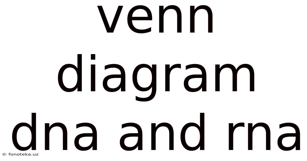 Venn Diagram Dna And Rna