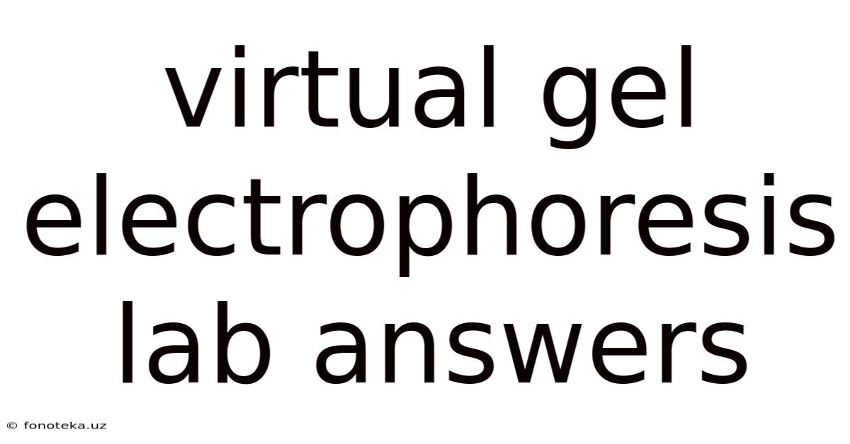 Virtual Gel Electrophoresis Lab Answers