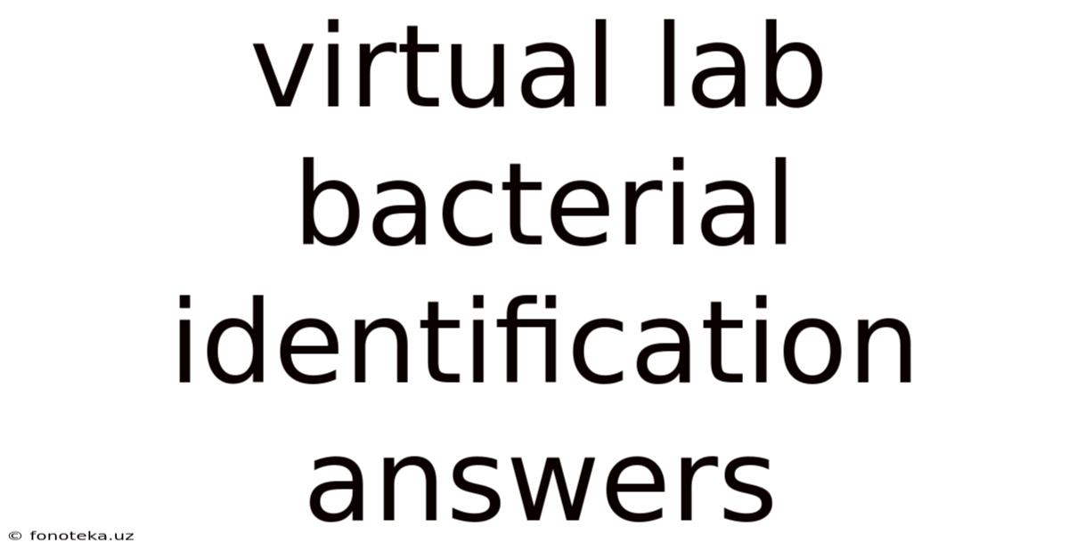 Virtual Lab Bacterial Identification Answers