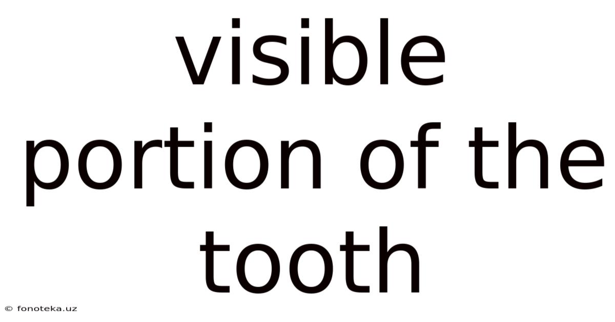 Visible Portion Of The Tooth