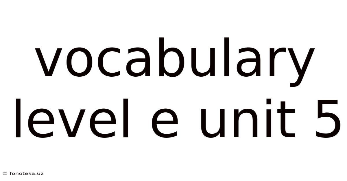 Vocabulary Level E Unit 5