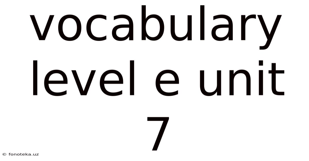 Vocabulary Level E Unit 7
