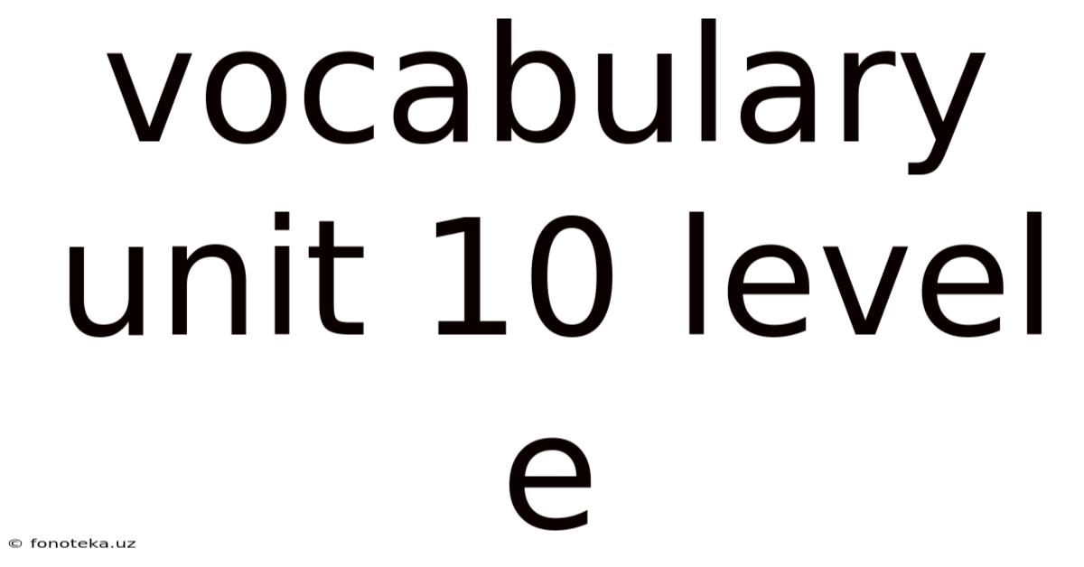 Vocabulary Unit 10 Level E