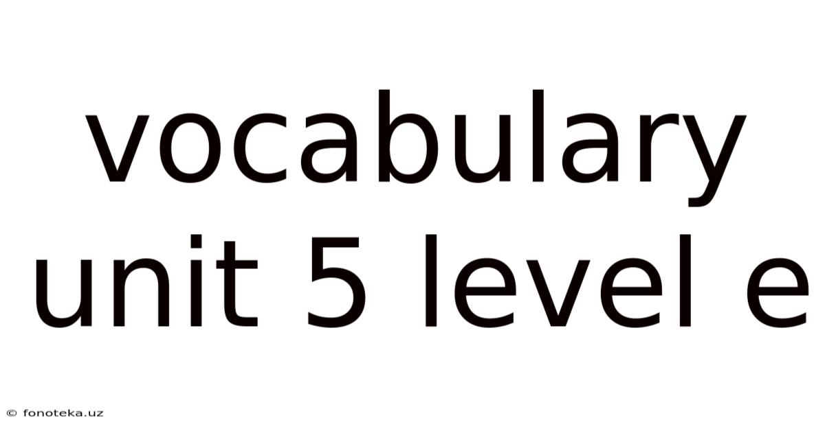 Vocabulary Unit 5 Level E
