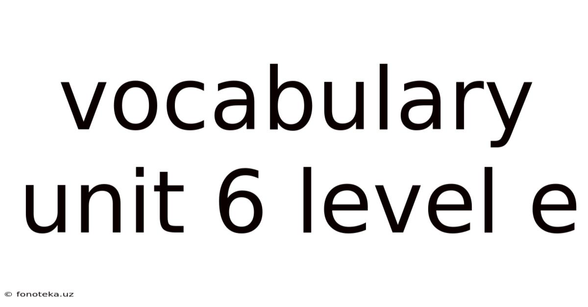 Vocabulary Unit 6 Level E