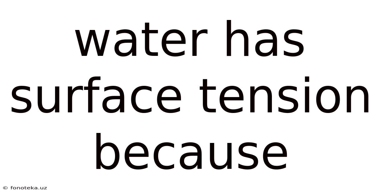 Water Has Surface Tension Because