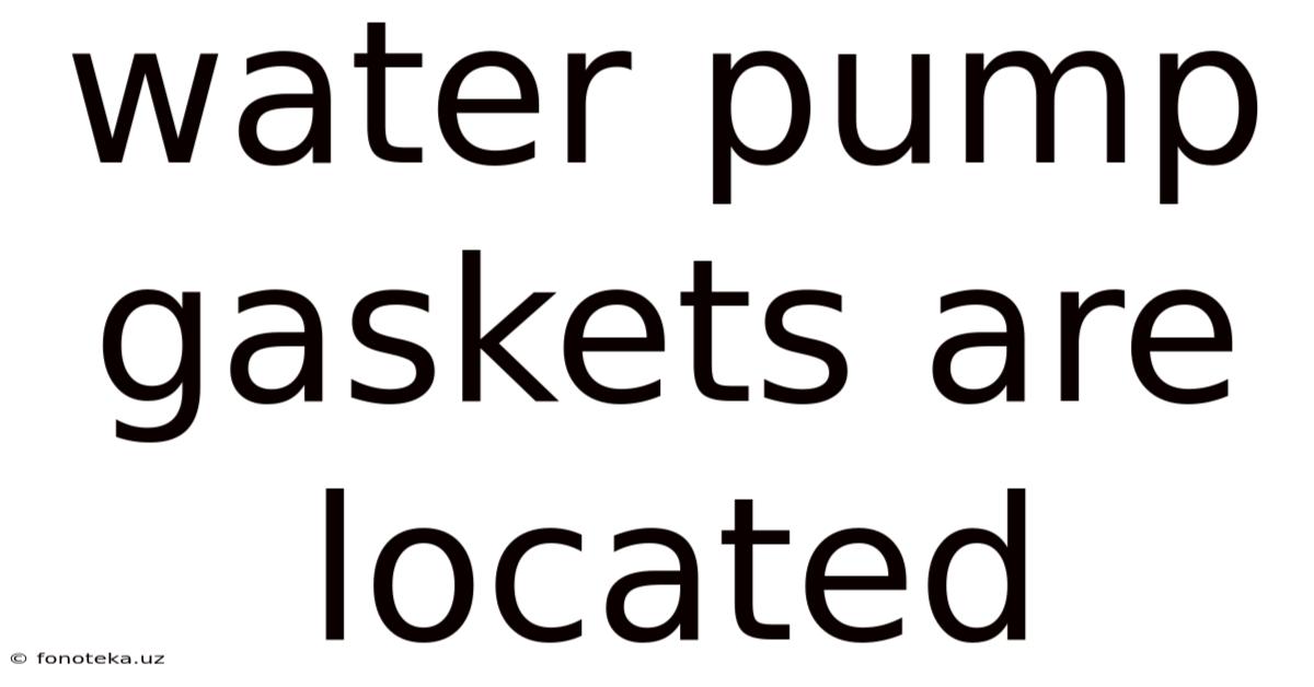 Water Pump Gaskets Are Located