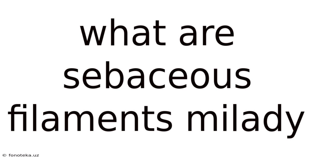 What Are Sebaceous Filaments Milady