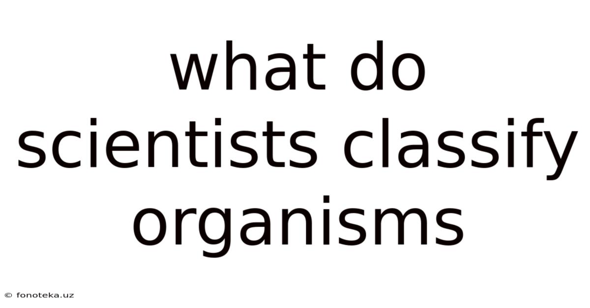 What Do Scientists Classify Organisms