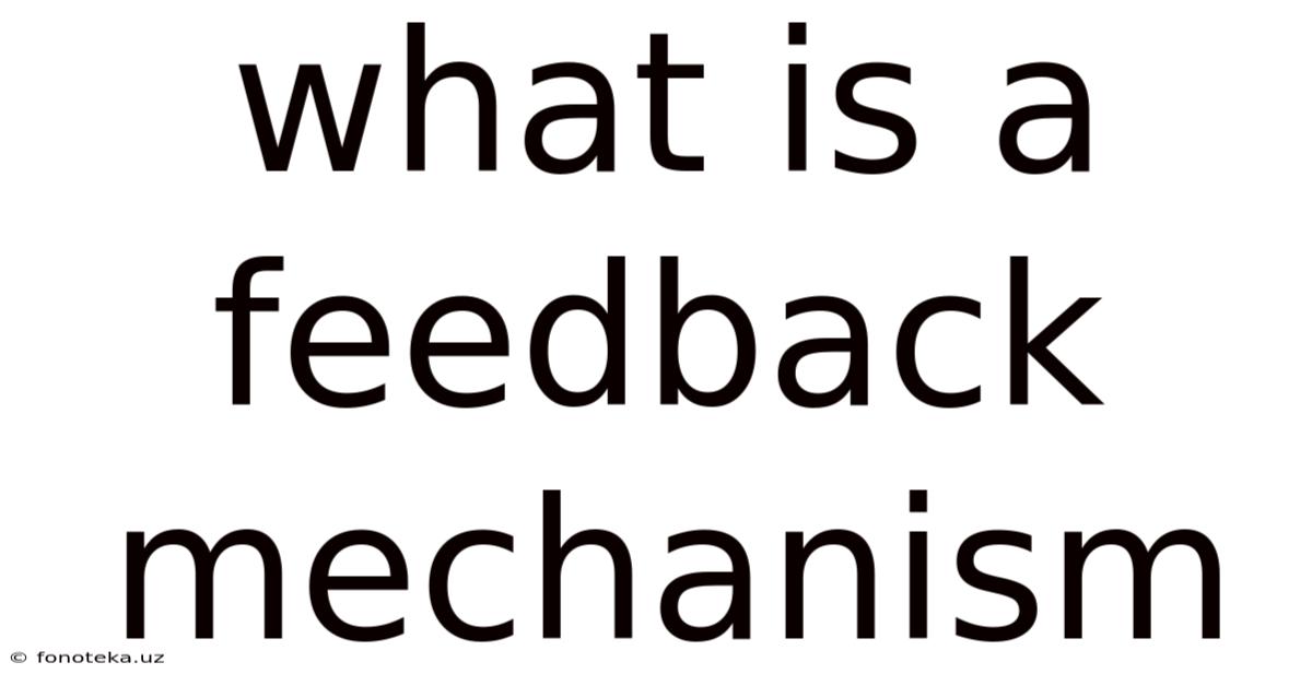 What Is A Feedback Mechanism