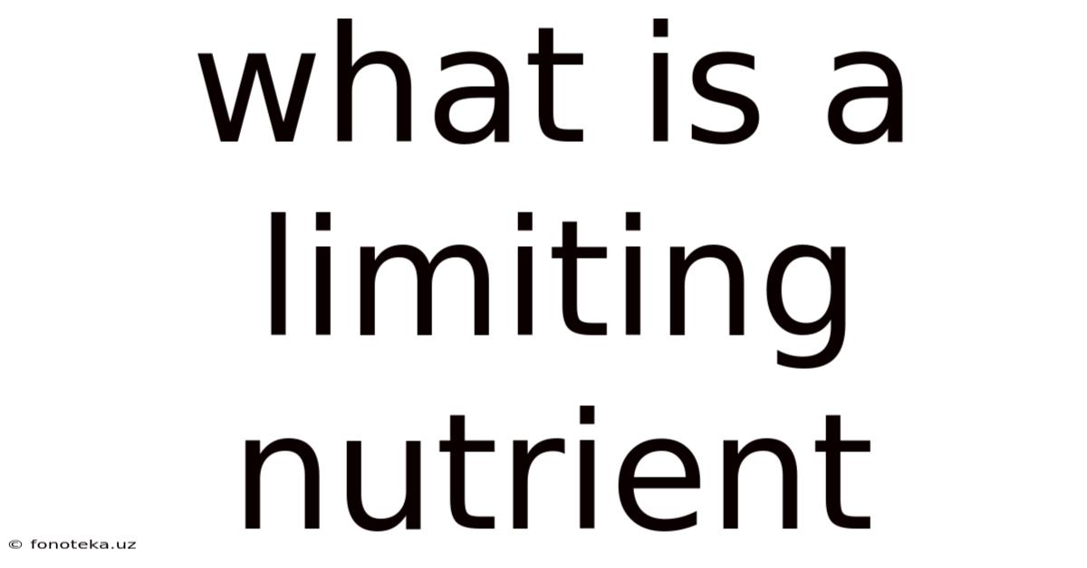 What Is A Limiting Nutrient