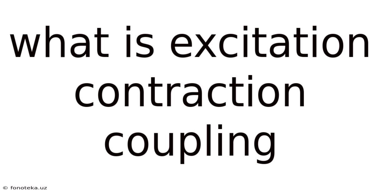 What Is Excitation Contraction Coupling