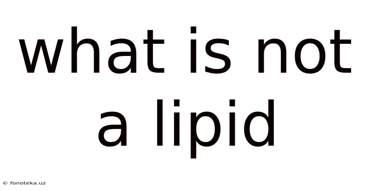 What Is Not A Lipid