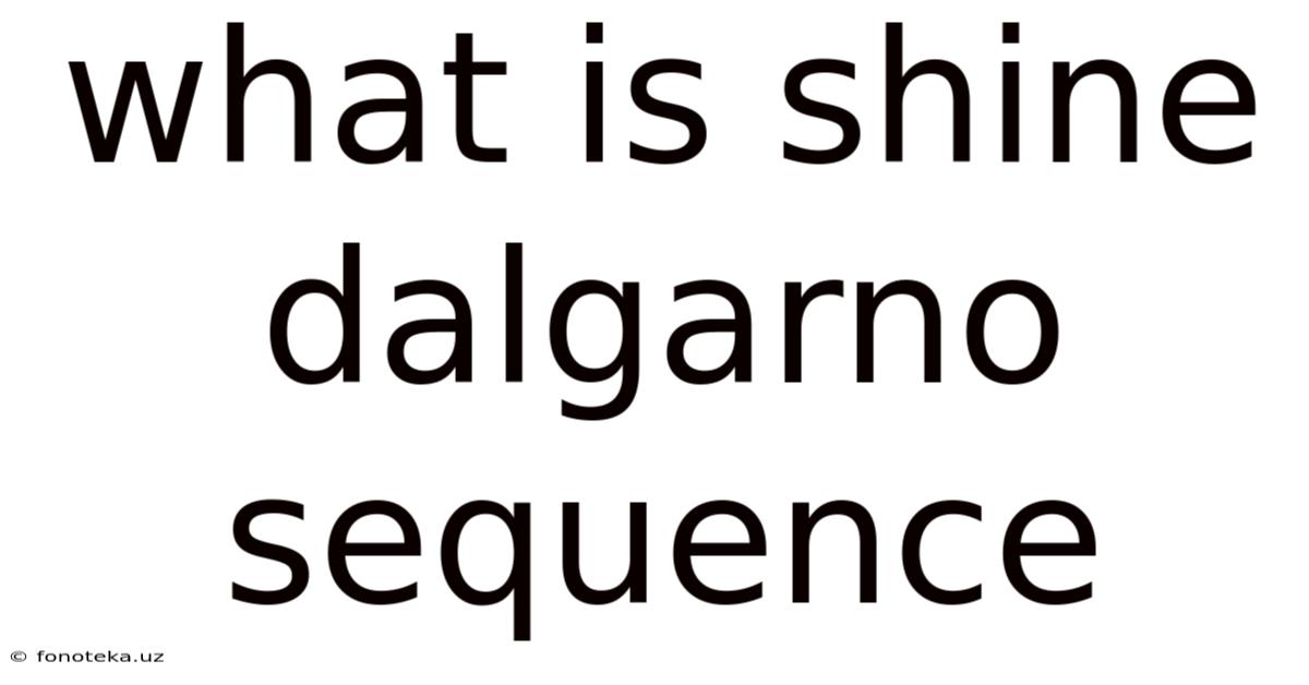 What Is Shine Dalgarno Sequence