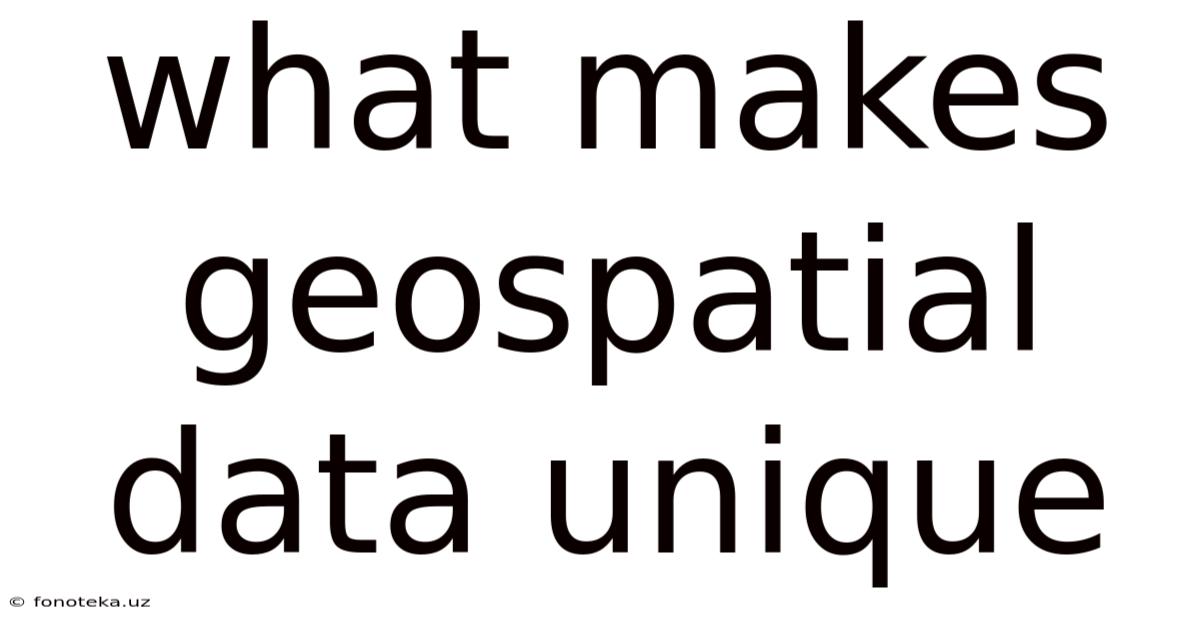 What Makes Geospatial Data Unique