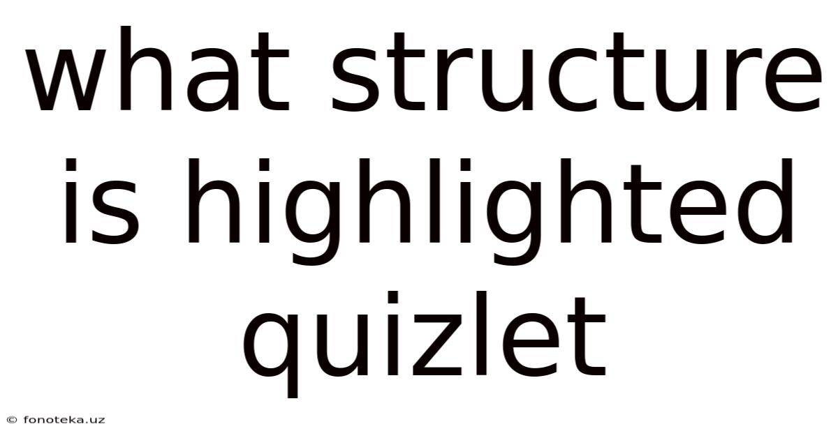What Structure Is Highlighted Quizlet