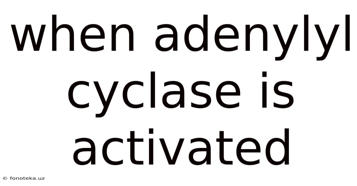 When Adenylyl Cyclase Is Activated