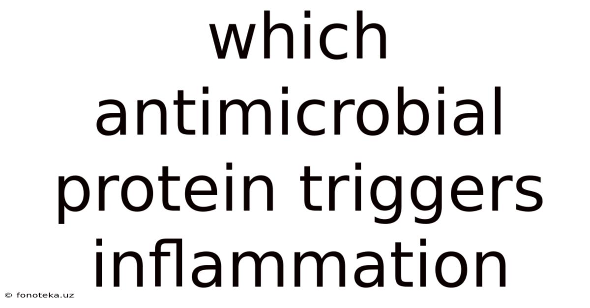 Which Antimicrobial Protein Triggers Inflammation