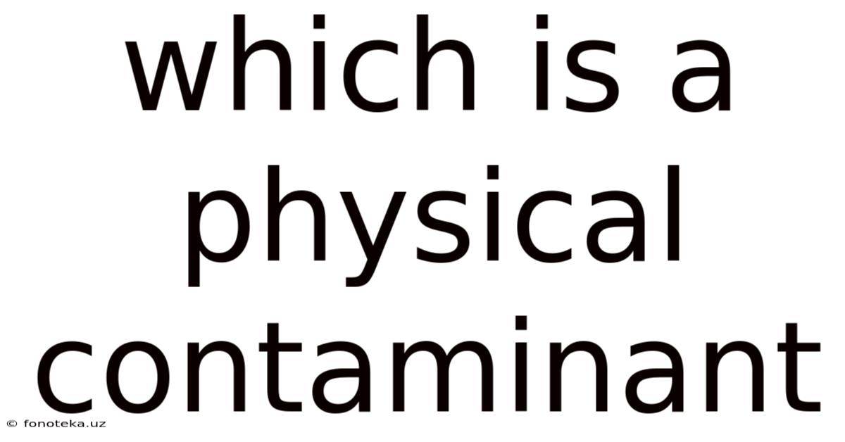 Which Is A Physical Contaminant
