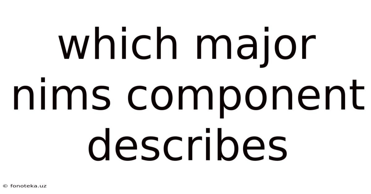 Which Major Nims Component Describes