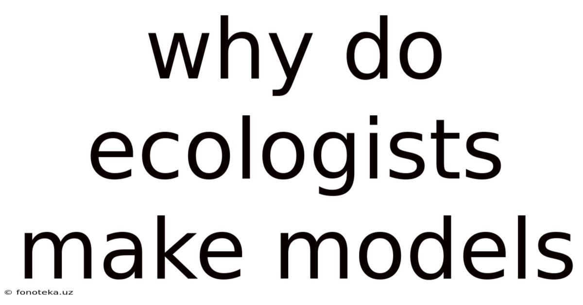 Why Do Ecologists Make Models