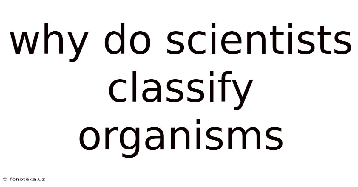Why Do Scientists Classify Organisms