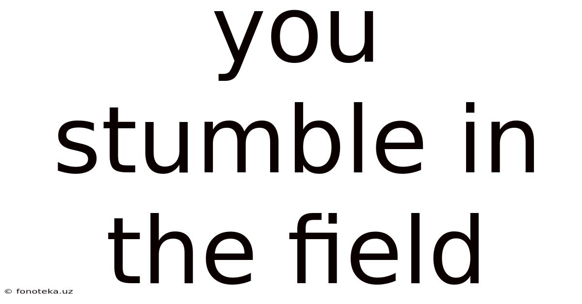 You Stumble In The Field